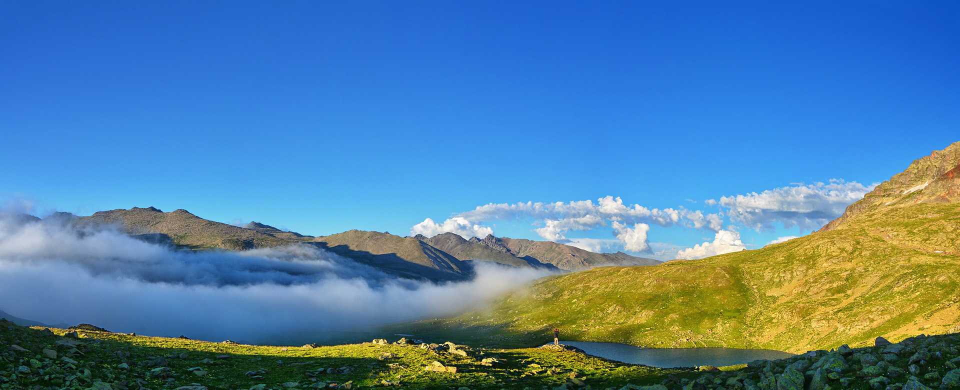 綜合性檢測服務機構